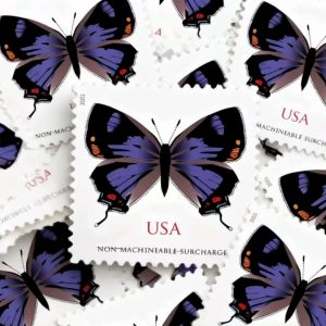 Colorado Hairstreak Forever Stamps 100pcs