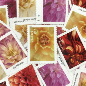 Dahlias Forever Stamps 100pcs
