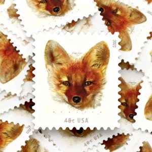 Red Fox Forever Stamps 100pcs